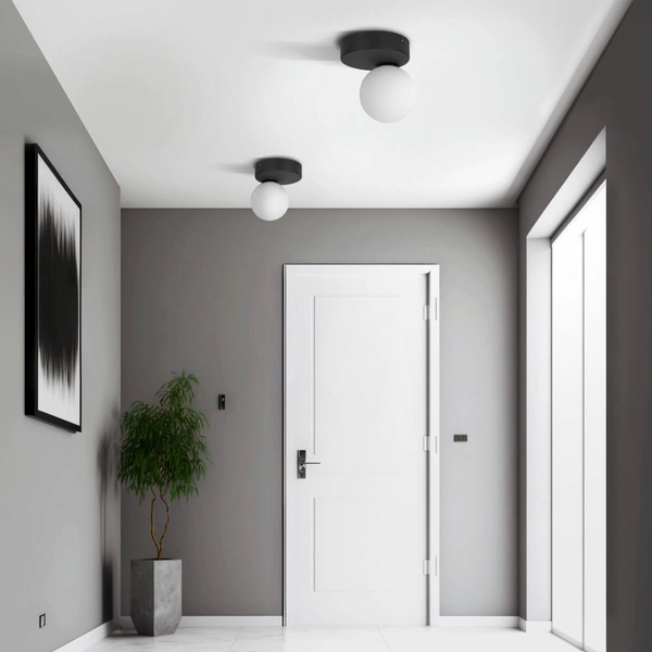 Punktowa lampa sufitowa Bianca 5681 TK Lighting kula czarna biała