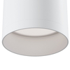 Oprawa stropowa Focus C010CL-01W do przedpokoju tuba biała