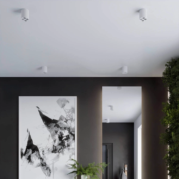 Plafon sufitowy Zoe SL.1209 Sollux LED 9W 4000K walec minimalistyczny biały