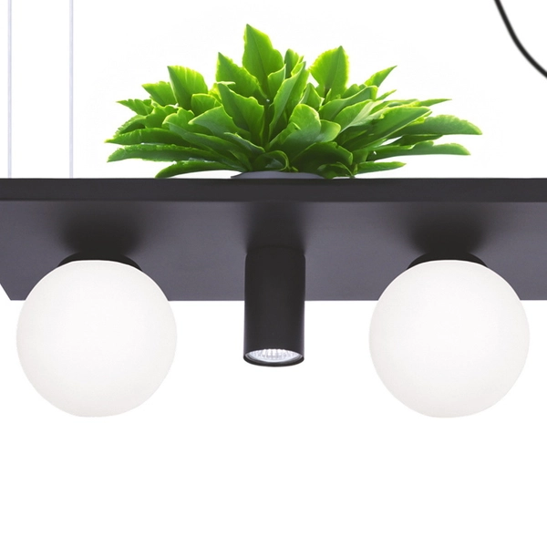 Lampa wisząca Plant Shelf 5555 Zumaline półka na rośliny kule czarne białe