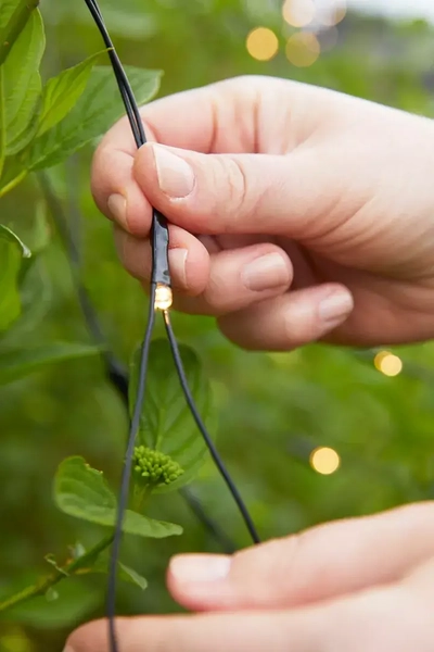 Wisząca dekoracja ogrodowa Garden 24 LED 4,8W świetlna