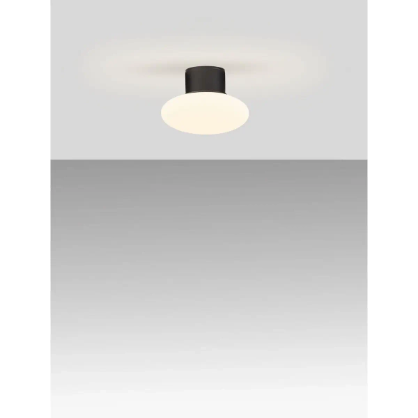 Owalna ścienna lampa TARANZO LE75258 LED 6W 3000K IP65 antracyt