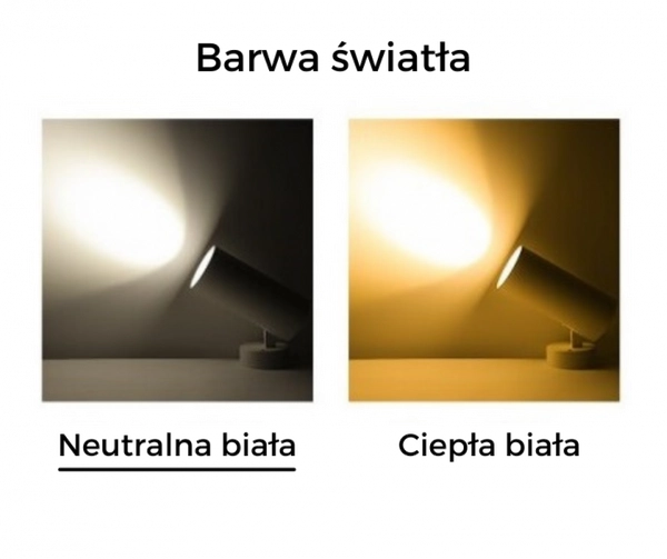 Punktowy reflektor Blaupunkt DRNW-12NW LED 12W 4000K biały