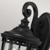 Elewacyjna LAMPA ogrodowa English FE-EB2-M-BLK Elstead FEISS zewnętrzna OPRAWA elewacyjna klasyczna outdoor IP44 czarna przezroczysta