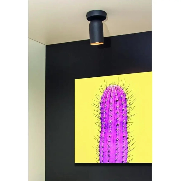 Przysufitowa lampa z regulacją PUNCH 13958/01/30 Lucide czarny