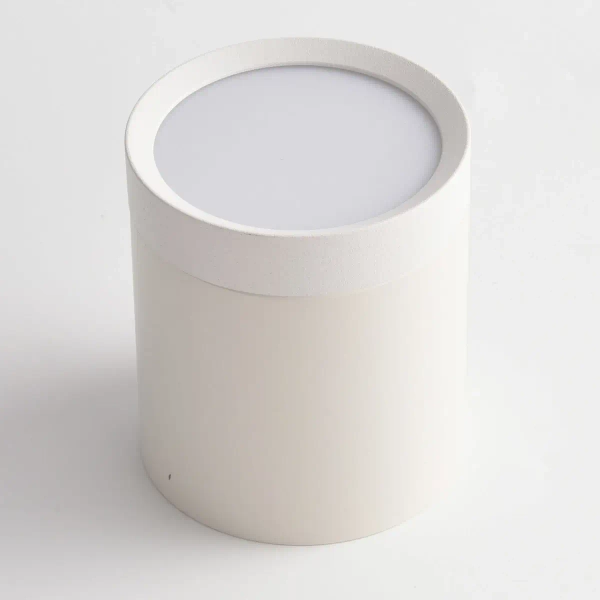 Downlight sufitowy Hoop C086CM-GX53-MRD-W LED 15W do salonu biały