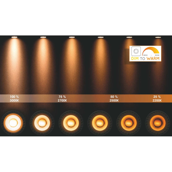 Downlight lampa sufitowa NIGEL 09929/20/16 regulowana czarna outlet