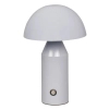 Metalowa lampka na stolik Dorbia TB-83647-GR LED 2W 3000-6500K szara