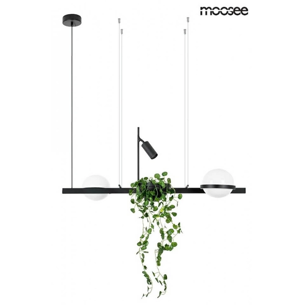 Zwisająca lampa z rośliną Plant MSE010100156 Moosee LED 25,2W 3000K czarna biała