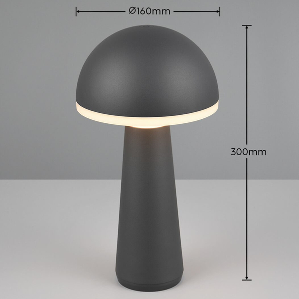 Zewnętrzna lampka stojąca Fungo R57716142 IP54 LED 2W 3000-5000K czarny