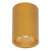 Downlight metalowy do jadalni CASENDA LE65138 tubka złota