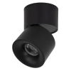 Ledowa lampka sufitowa Spark 18163 LED 10W 3000-6000K czarny