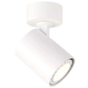 LAMPA sufitowa LUMSI SPL-2071-1-MC-WH Italux metalowa OPRAWA regulowany reflektorek biały