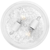 Sufitowa LAMPA industrialna QZ-MARBLEHEAD-F-WHT Elstead QUOIZEL okrągła OPRAWA plafon metalowy zewnętrzny IP44 biały