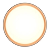 Okrągła lampa sufitowa Felis R64391080 RL Light LED 24W 2700-6500K czarny złoty