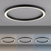 Owalna lampa sufitowa z pilotem PURE-LINES grafitowa 6306-13 1xLED 42W CCT