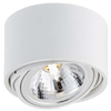 Halogenowa LAMPA sufitowa LUMOS 1 70251101 Kaspa natynkowa OPRAWA plafon regulowany spot metalowy biały