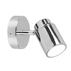 Reflektorek ścienny z regulacją BRISA DL106880400 IP44 srebrny