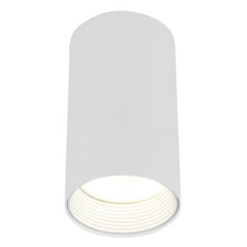 Sufitowa lampka punktowa Amis 10719 tubka do salonu złoty biały