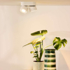 Spot LAMPA sufitowa YUMIKO  35911/16/31 Lucide metalowa OPRAWA tuba LED 16W 2700K regulowana biała