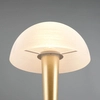 Lampka stołowa Canaria R59561108 RL Light do sypialni mosiądz