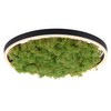 Okrągły plafon GREEN RITU 15391-66 Just Light LED 20W 3000K roślina zielony
