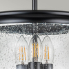 Retro lampa sufitowa Pickering Lane FE-PICKERING-LANE-SF-BLK Feiss czarny przezroczysty
