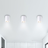 Natynkowa tuba Kobald 2056 sufitowy downlight biały do przedpokoju