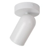 Regulowana lampa sufitowa PUNCH 13958/01/31 Lucide tuba biały