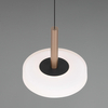 Lampa zawieszana CELESTE 354910165 LED 10W 3000K metalowa biały brązowy