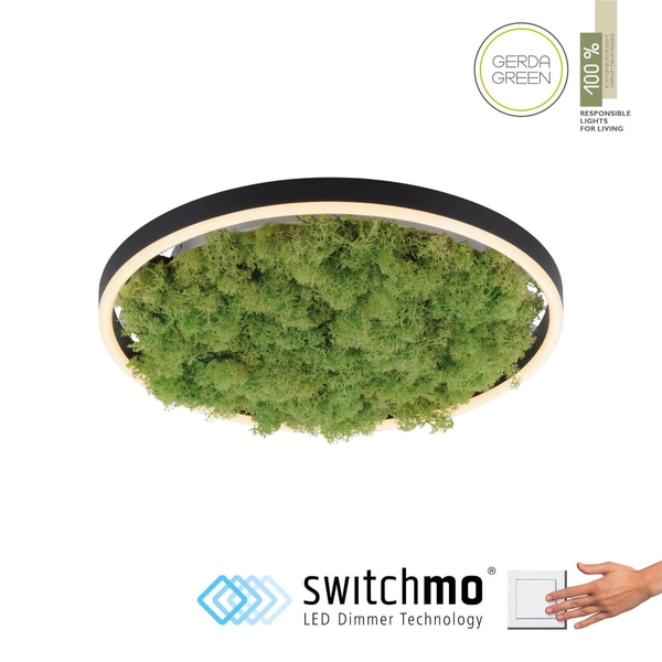 Okrągły plafon GREEN RITU 15391-66 Just Light LED 20W 3000K roślina zielony