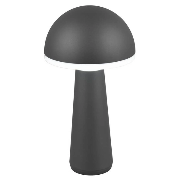 Zewnętrzna lampka stojąca Fungo R57716142 IP54 LED 2W 3000-5000K czarny