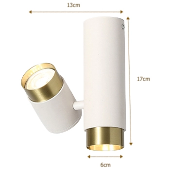 Dwupunktowy spot sufitowy CGLOOK2WH lampa biała mosiądz