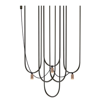 czarny || szampański | herbaciany