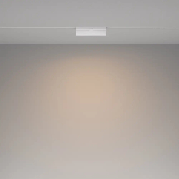 Sufitowa lampa magnetyczna Exility TR036-4-12WTW-DD2-W LED 2700-6000K biała