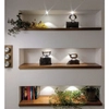 Lampa sufitowa wpuszczana POINT 288001305 LED 1W 6000K okrąg złoty