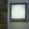 Ścienna lampa natynkowa EGIL-1W ogrodowa square czarna