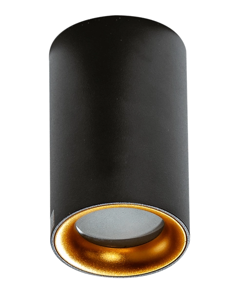 Natynkowa lampa przysufitowa Eiger AZ4261 IP54 czarna złota