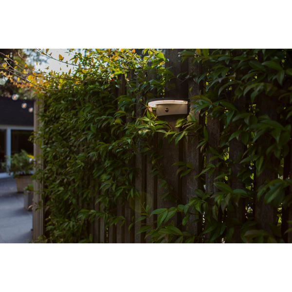 Solarna lampa elewacyjna VYZOR 6915701335 LED 7W 4000K IP44 ciemnoszara