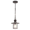 Zewnętrzna LAMPA wisząca Riverwood Riverwood KL-RIVERWOOD8-M Elstead KICHLER klasyczna OPRAWA ogrodowy ZWIS na łańcuchu IP44 cynk przezroczysty