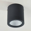 Łazienkowa lampa sufitowa Conyon AZ6025 LED 10W 3000-6000K IP54 czarny