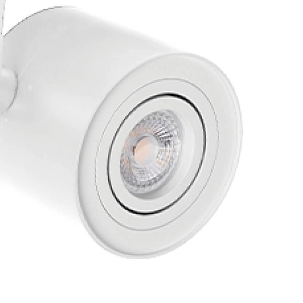 Lampa sufitowa Bross AZ3502 kierunkowa do przedpokoju biała