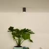 Sufitowa lampa tuba Delto 09915/06/36 Lucide metalowa szara