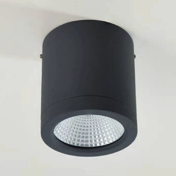 Łazienkowa lampa sufitowa Conyon AZ6025 LED 10W 3000-6000K IP54 czarny