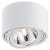 Halogenowa LAMPA sufitowa LUMOS 1 70251101 Kaspa natynkowa OPRAWA plafon regulowany spot metalowy biały