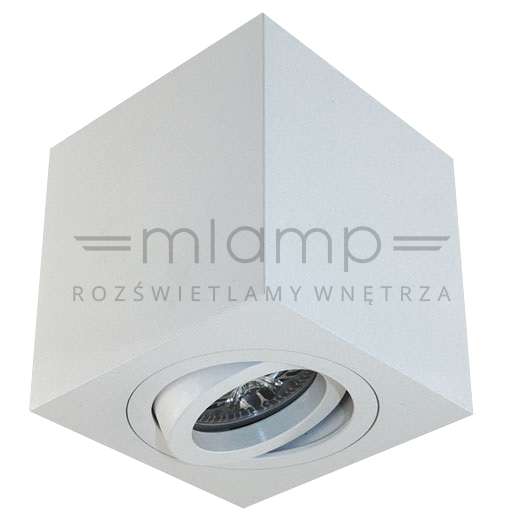 Spot LAMPA sufitowa Lago Bianco Orlicki Design regulowana OPRAWA metalowa kostka cube biała
