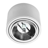 Lampa nasufitowa kuchenna 448 Domeno LED downlight okrąg biała