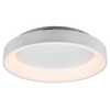 Sufitowa LAMPA plafon AVELON DL131671290 Trio metalowa OPRAWA okrągła LED 48W 2700K - 6000K z pilotem biała