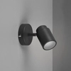 Regulowany reflektorek ścienny BRISA DL132880400 IP44 czarny