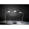 Biurkowa lampka z regulacją NEMIO DL108523310 LED 12W 2300-4000K złoty